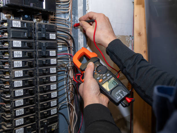 Best Affordable Electrician  in Carlstadt, NJ